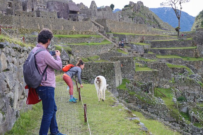 Private Guided Tour to Machu Picchu From Aguas Calientes - Highlights and Photo Opportunities