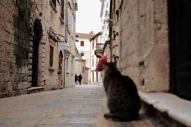 Private Kotor and Perast Tour - Baroque Charm of Montenegro - Additional Information