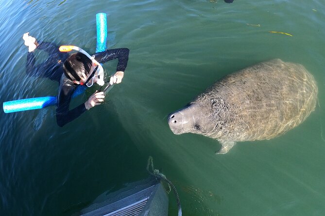 Private Manatee Snorkeling Tour - Customer Reviews