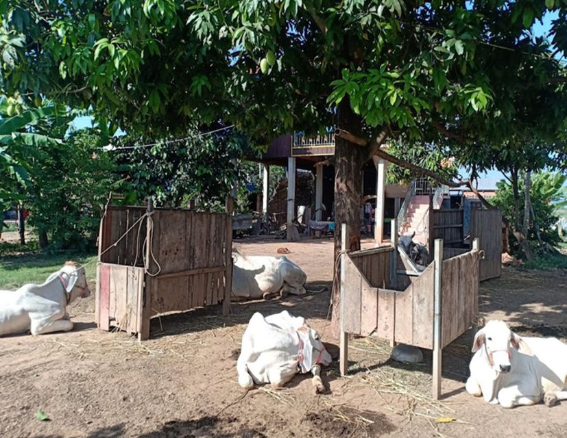 Private Phnom Penh Countryside Bike Tour - What to Bring