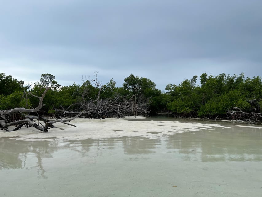 Private Sandbar Adventure in the Key West Backcountry - Customer Feedback