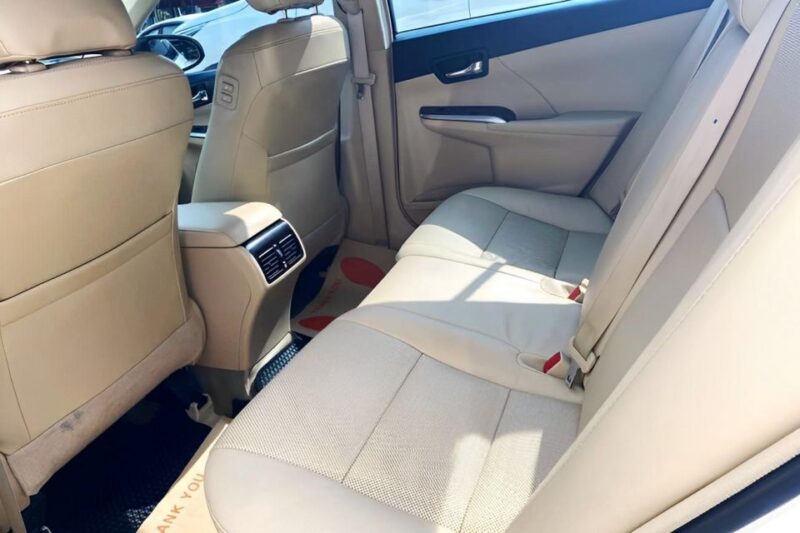 Private Taxi: Nha Trang Center to Cam Ranh Airport (Cxr) - Driver Qualifications and Support