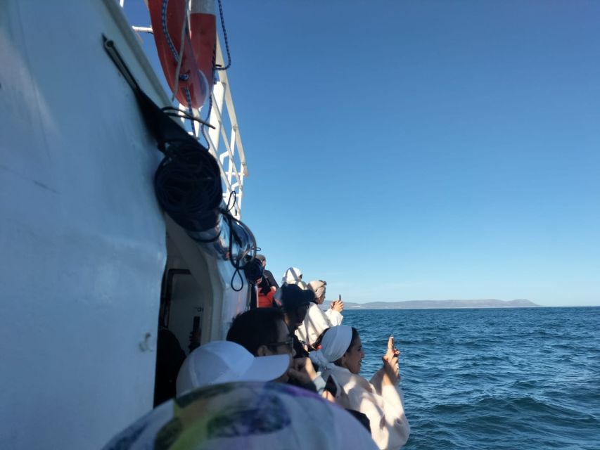 Private Tour: Hermanus- Boat Based Whale Watching Experience - Tour Inclusions