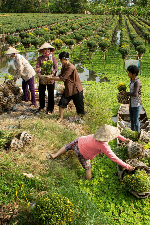 Private Tour of Southern Vietnam:Ho Chi Minh & Mekong Delta - Recommended Activities and Experiences