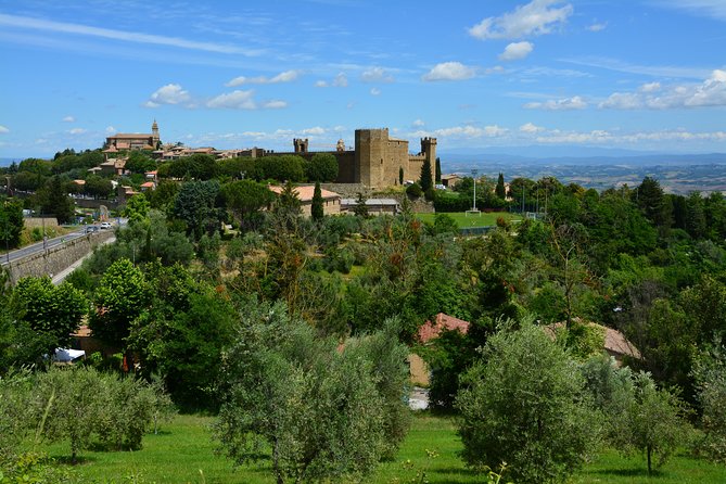 Private Tour: Orcia Valley to Montalcino and Montepulciano With Brunello Wine Tasting - Accessibility and Dietary Requirements