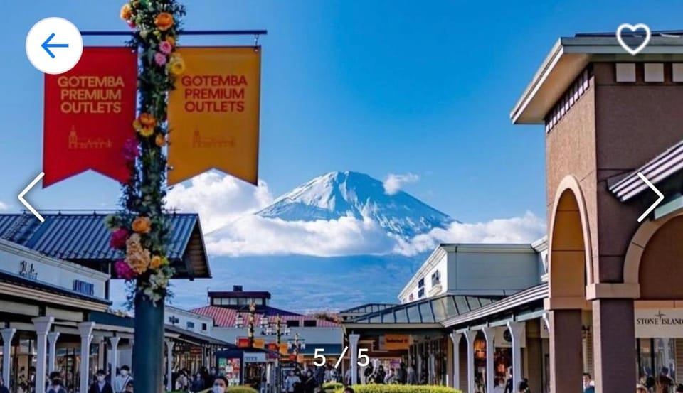 Private Tour Tokyo to Hakone Area + Gotemba Premium Outlets - Customizable Itinerary Options