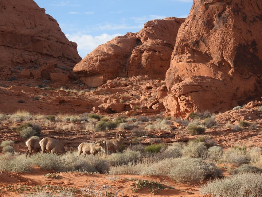 Private Valley of Fire Adventure - Health and Safety Guidelines