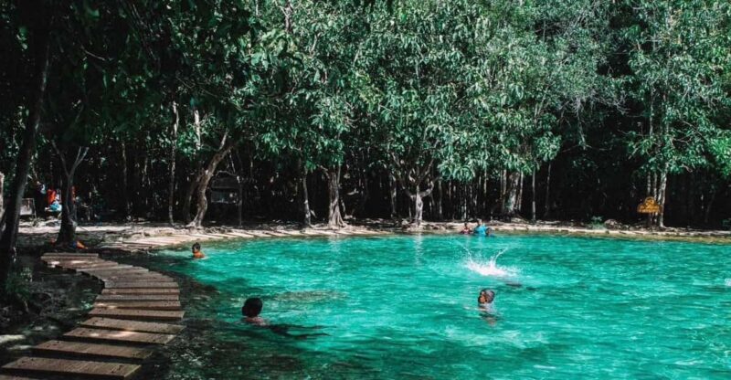 Private VIP Van Jungle Tour ( VIP ) - Emerald Pool Fees