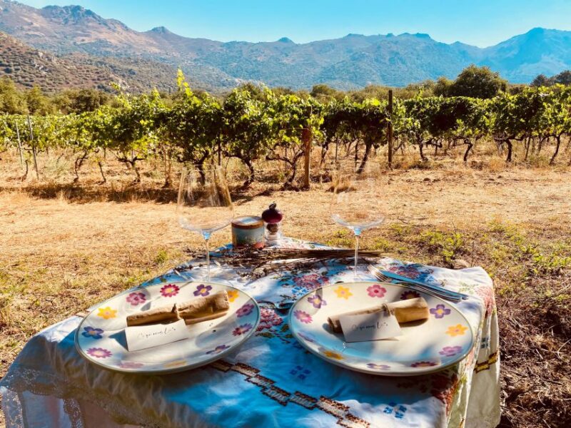 Private Wine Tasting With Transportation - Highlights of the Tour
