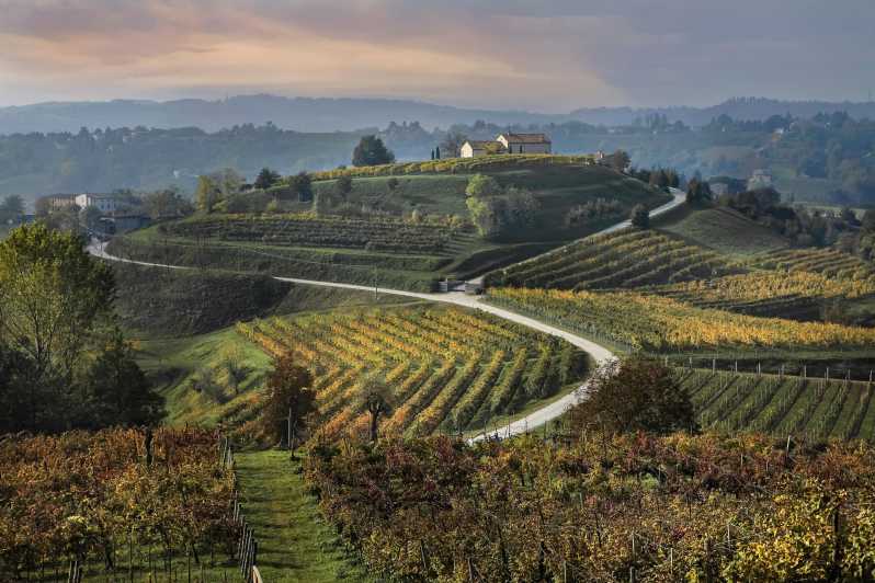 Prosecco Hills Bike Tour From Venice - Participant Requirements