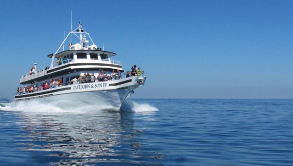 Provincetown: Whale Watching Cruise - Customer Feedback