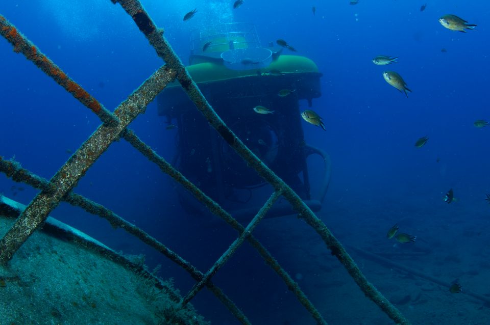 Puerto De Mogán: Submarine Tour - Customer Reviews