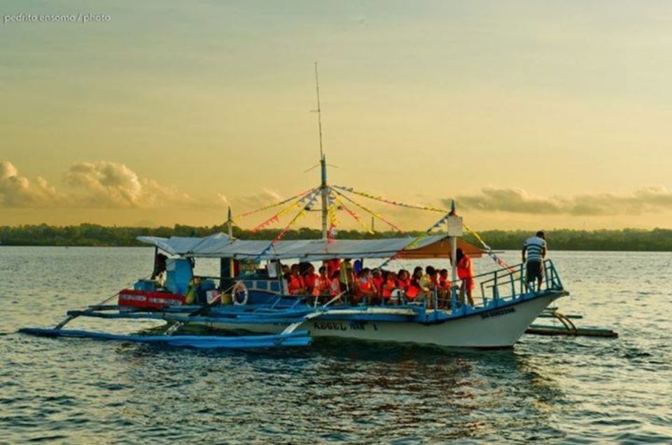 Puerto Princesa: Firefly Watching Bay Cruise With Dinner - Important Information