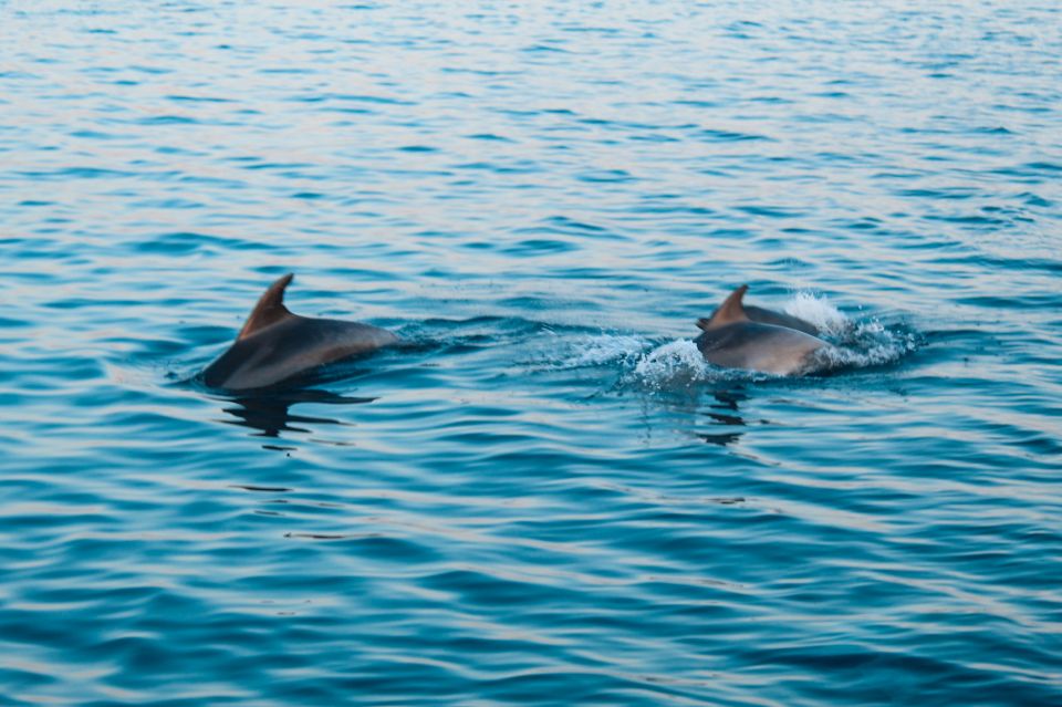 Pula: Exclusive Dolphin & Sunset Cruise With Dinner & Drinks - Onboard Amenities