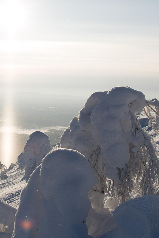PyhäTunturi: Scenic Snowshoeing Tour in Finnish Lapland - Important Information