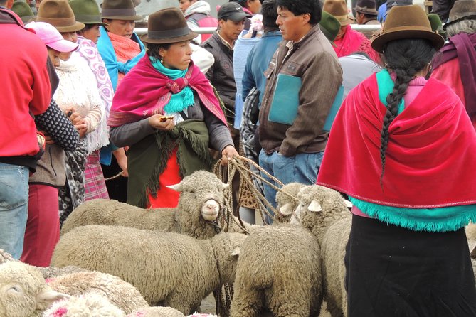 Quilotoa Crater Lake Private Day Tour - Traveler Reviews