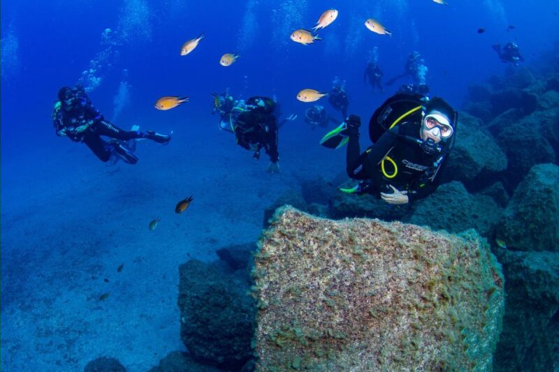 Radazul: Diving Trip in Radazul Bay With Drinks - Inclusions and Amenities