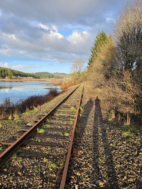 Rail Bike Tour - Unique Ride Experience