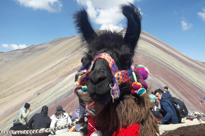 Rainbow Mountain Tour Vinicunca (Full Day) - Transportation and Logistics