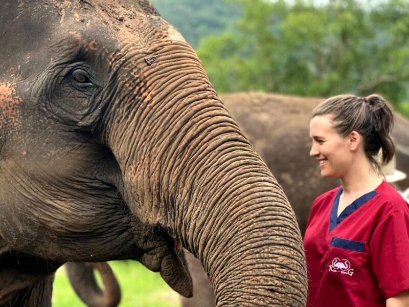 Rantong Elephant Sanctuary Chiangmai - Support and Sustainability