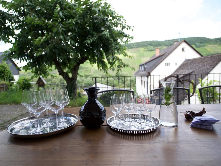 Reil, Mosel: Guided Organic Wine Tasting and Cellar Tour - Vineyard and Cellar Tour