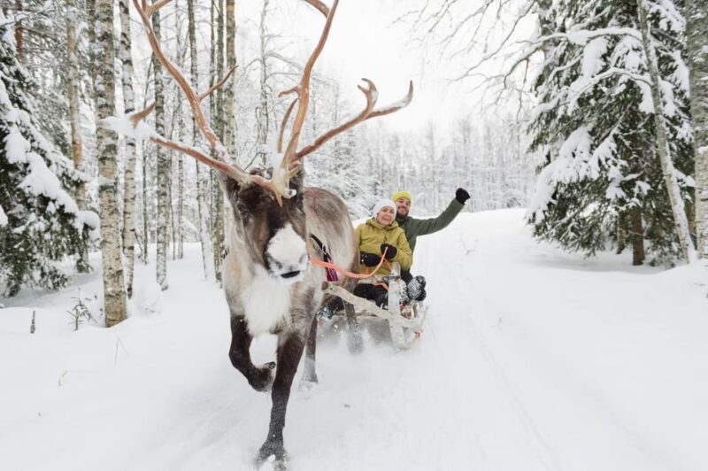 Reindeer Farm Visit With Sleigh Ride - Frequently Asked Questions