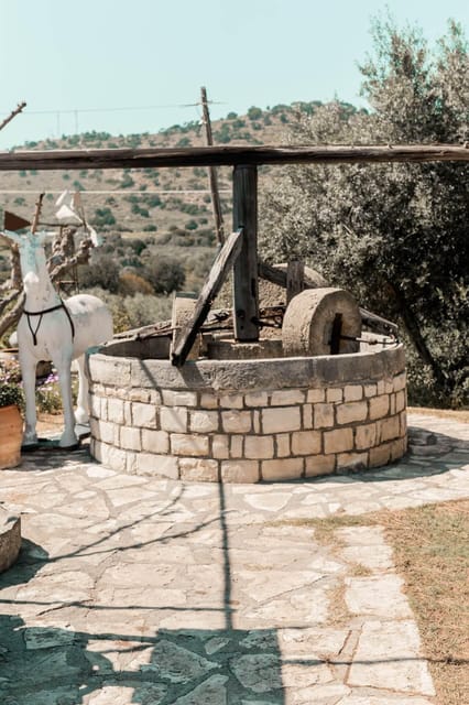 Rethymno: Eleftherna, Melidoni Cave, Honey & Olive Oil Tour - Olive Oil History at Paraschakis