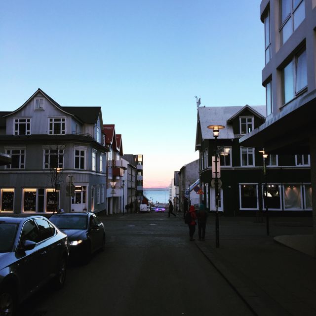 Reykjavik City - Half Day Private Tour - Nearby Attractions to Explore