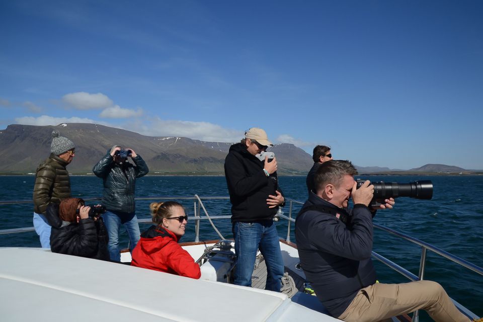 Reykjavik: Whale Watching and Dolphin Watching Yacht Cruise - Customer Reviews and Ratings