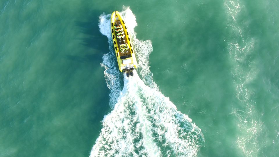 Reykjavik: Whale Watching by RIB Speedboat - Safety and Restrictions