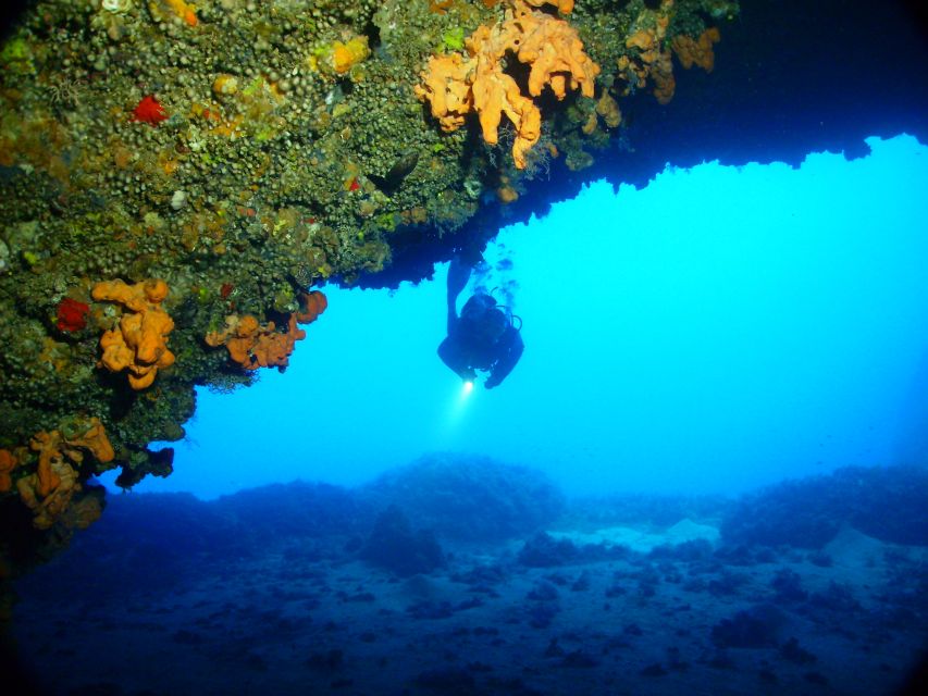 Rhodes: Diving Adventure for Beginners and Experts - Dive Duration and Pricing