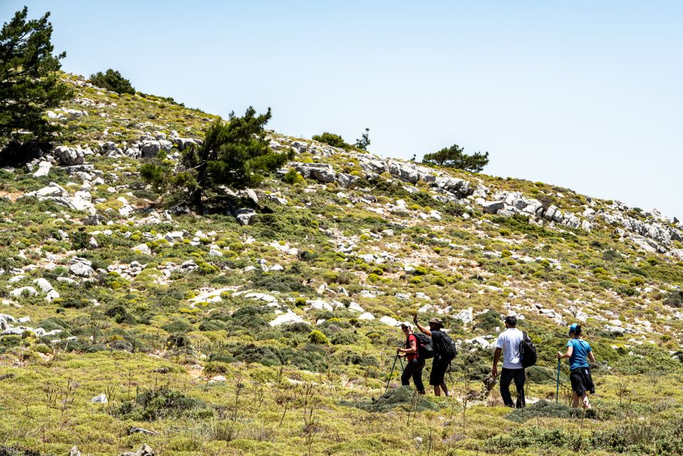 Rhodes: Hiking Tour to the Summit of Akramitis With Photos - Recommended Gear