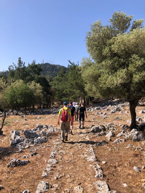 Rhodes: Salakos to Profitis Ilias 4 Hours Guided Hike - Booking and Cancellation