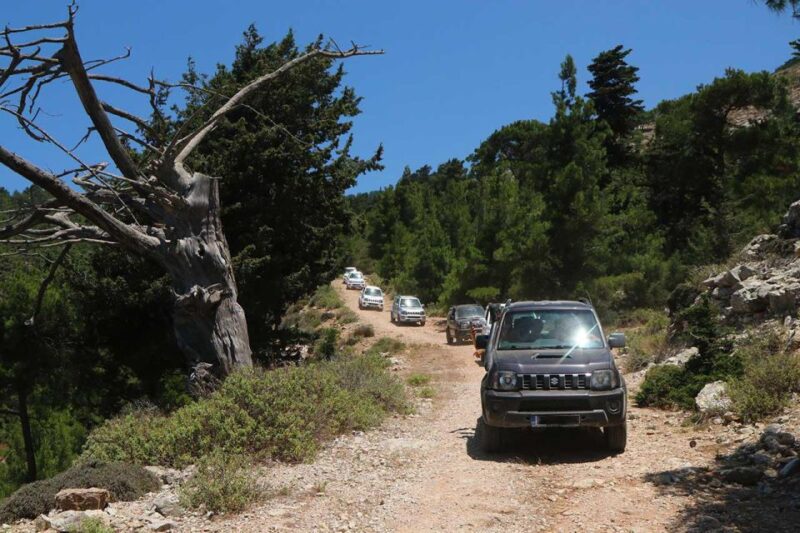 Rhodes: Self Drive Safari 4x4 Tour - North Pick Ups - Booking and Cancellation Policy