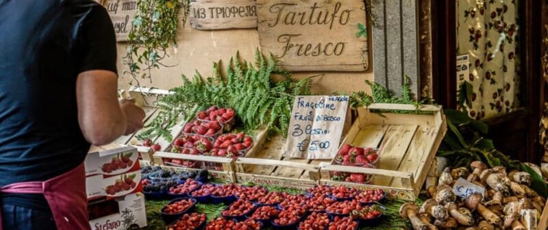 Roman Countryside: a Day Wine and Food Tasting, Private Tour - Culinary Delights