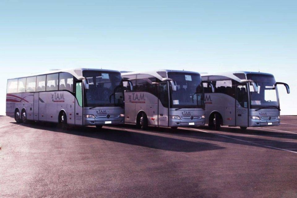 Rome: Bus Between Fiumicino Airport and Termini/Ostiense St - Customer Experience