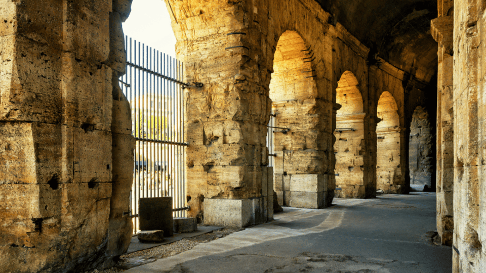 Rome: Colosseum and Panoramic Glass Elevator to Rome Summit - Navigating the Roman Forum and Palatine Hill