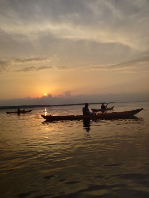 Roskilde: Guided Kayaking on Roskilde Fjord: Sunset Tour - Equipment Provided