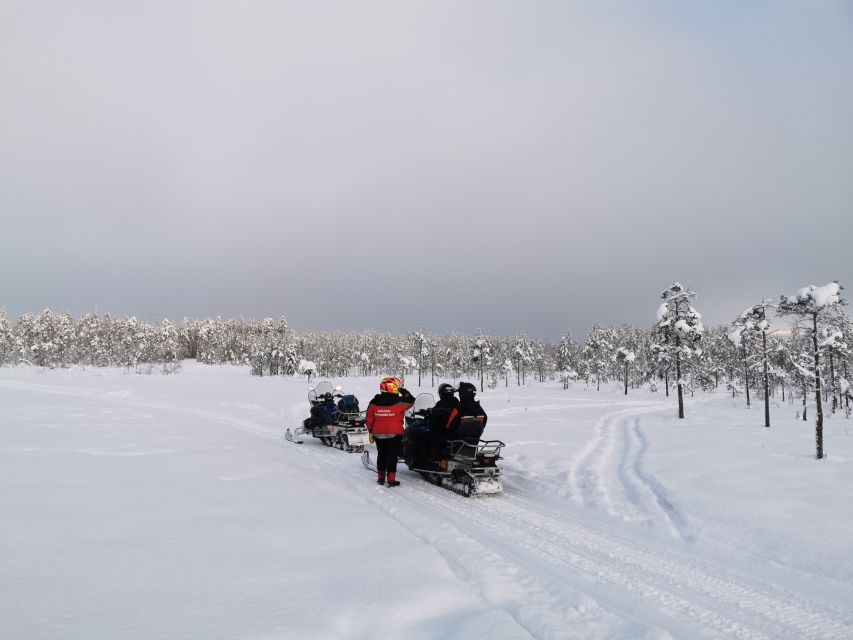 Rovaniemi: 3-Hour Snowmobile Safari in Lapland - Highlights of the Experience