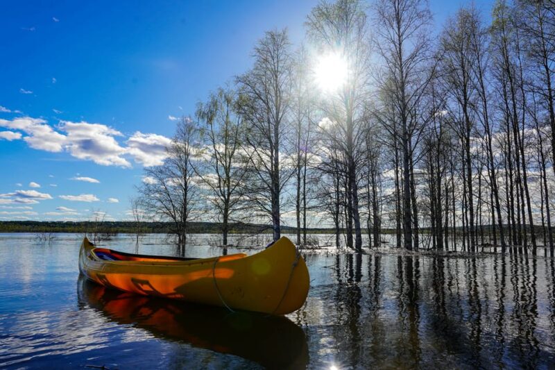 Rovaniemi: All-Day Canoe Adventure - Important Information