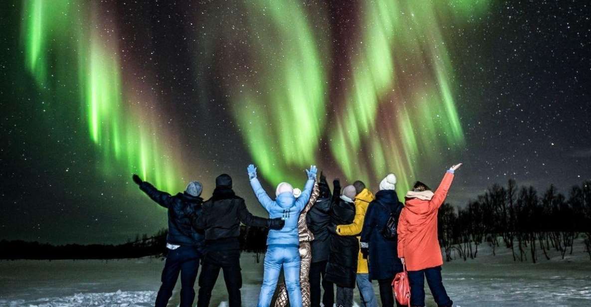 Rovaniemi: BBQ Picnic Experience Under Northern Lights - Best Time to See Northern Lights