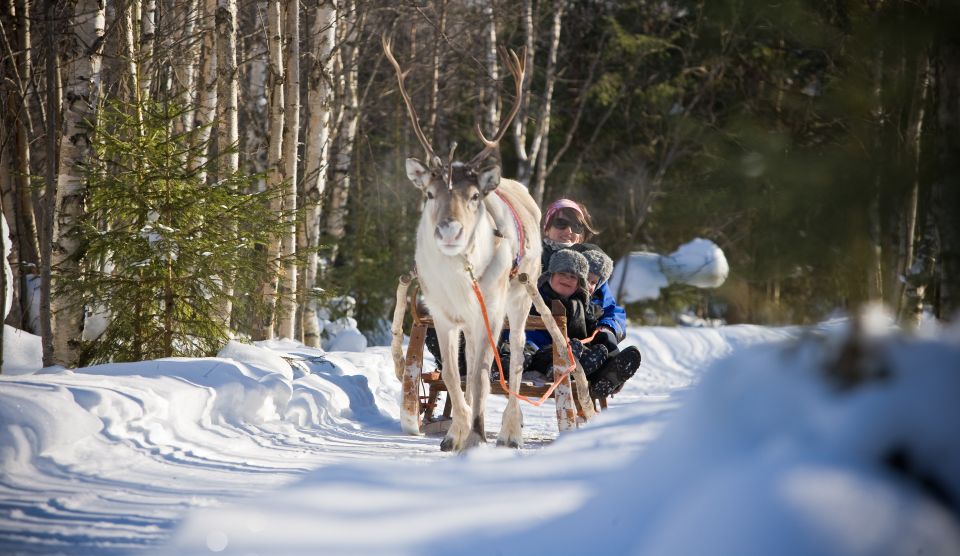 Rovaniemi: Daytime Reindeer Sleigh Ride With Hotel Pickup - What to Expect