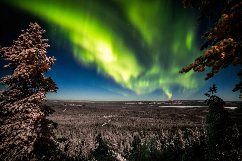 Rovaniemi: Discover the Northern Lights Photography Tour - Customer Feedback and Ratings