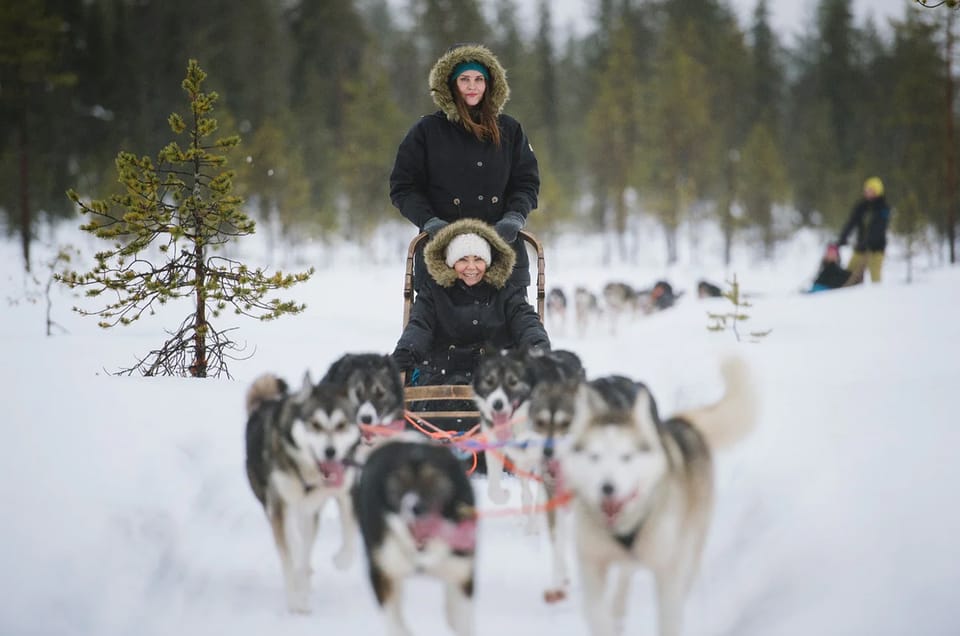 Rovaniemi: Family Friendly Husky Ride and Farm Visit - Frequently Asked Questions