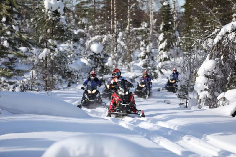 Rovaniemi: Guided Wilderness Snowmobile Ride - Customer Reviews