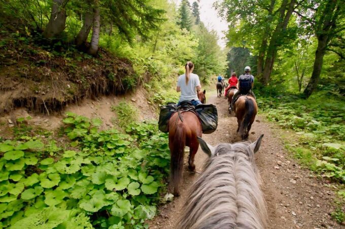 Rovaniemi: Horse Riding in Arctic Wilderness - Frequently Asked Questions