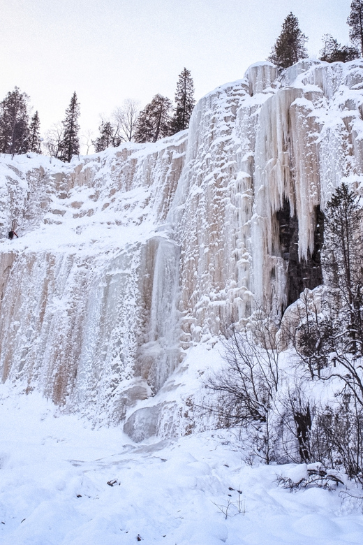 Rovaniemi: Korouoma Frozen Waterfalls With Sauna and Lunch - Important Information and Recommendations