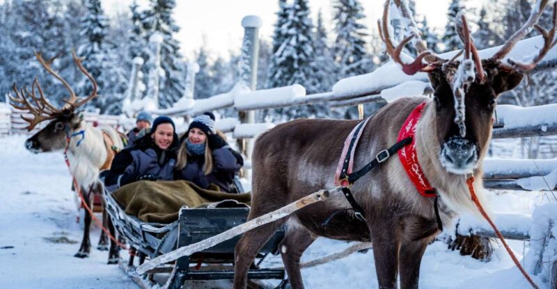Rovaniemi: Local Reindeer Farm Visit With 2 Km Sleigh Ride - Photography Services
