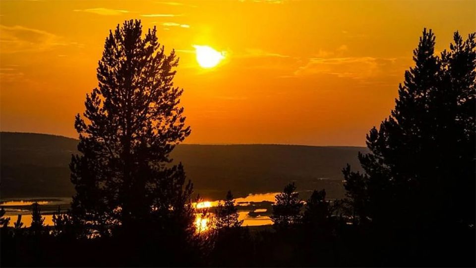 Rovaniemi: Midnight Sun, ATV Ride During The Golden Hour - Driver Requirements and Safety