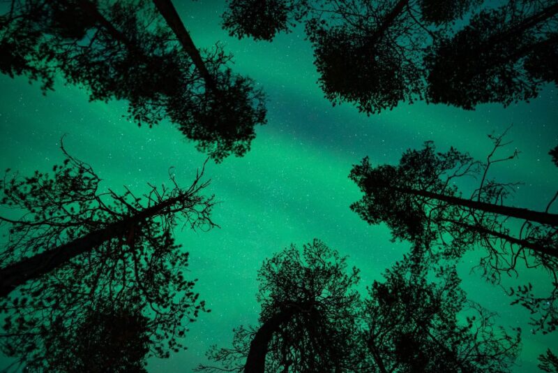 Rovaniemi: Northern Lights Quad Bike Tour - Important Information